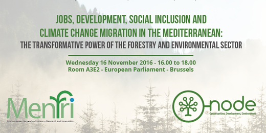 Lavoro, sviluppo, inclusione sociale e migrazione dei cambiamenti climatici nel Mediterraneo: il potere di trasformazione del settore forestale e dell'ambiente - Warrant