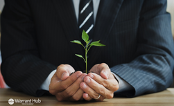 Sabatini Green e Transizione 5.0: un supporto integrato per gli investimenti delle imprese - Warrant