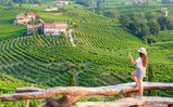 OCM vino Veneto misura “Promozione sui mercati dei Paesi Terzi 2020/2021” - Warrant