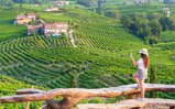 OCM vino Veneto misura “Promozione sui mercati dei Paesi Terzi 2020/2021” - Warrant