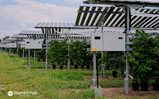 Agrivoltaico: contributi disponibili dal 4 giugno al 2 settembre 2024 - Warrant