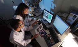 Toscana: al via i due Bandi R&S 2025 - Warrant